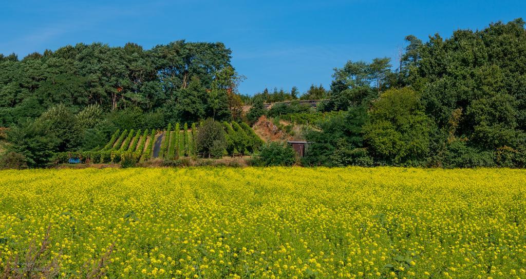 Tielt B&B Silentium المظهر الخارجي الصورة