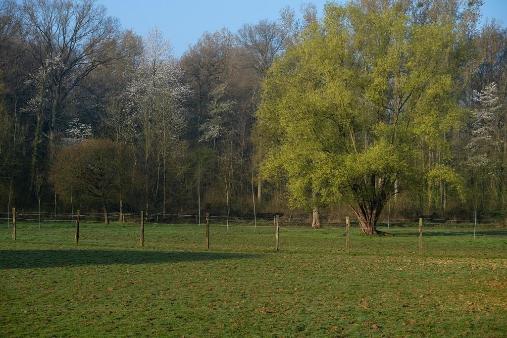 Tielt B&B Silentium المظهر الخارجي الصورة